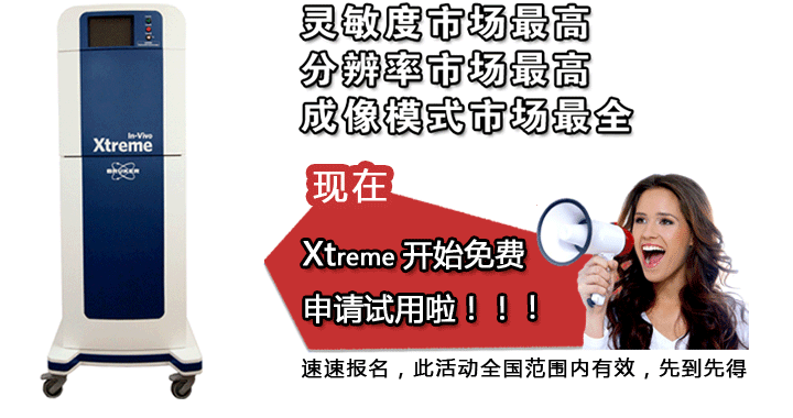 Xtreme��ʼ���������������