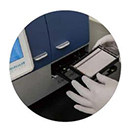 Western Blot ��⹦��