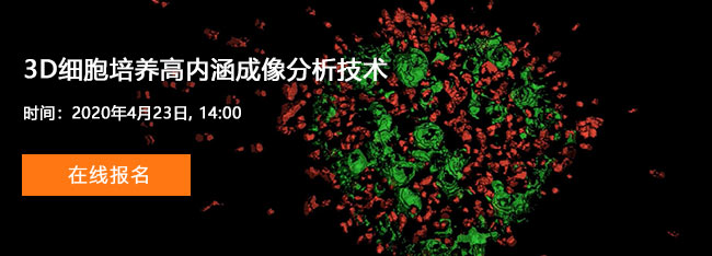 3D细胞培养高内涵成像分析技术