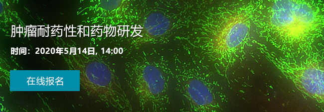 肿瘤耐药性和药物研发