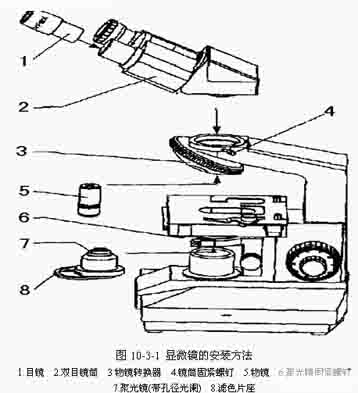 生物显微镜的使用与保养