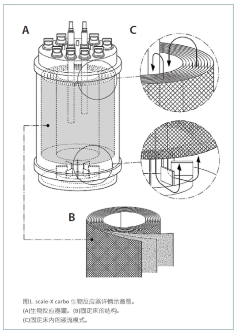 如何将病毒载体生产从塑料器皿向固定床生物反应器转变