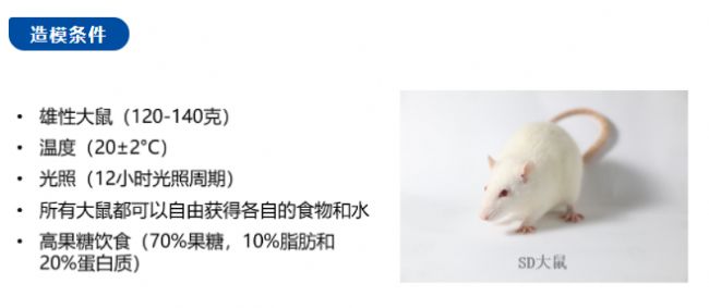 炎症,纤维化,与人类nash患者具有相似表型,但该模型诱导的动物体重