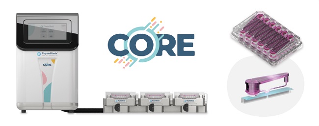 灌注液如何在每个器官芯片周围循环