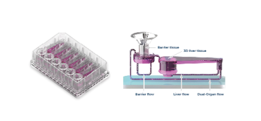 CN Bio双器官芯片板