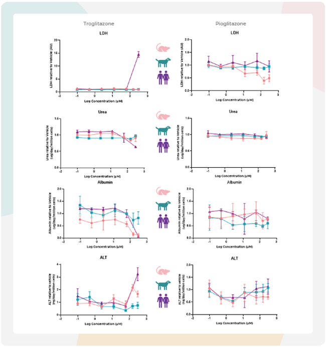 大鼠MPS通过白蛋白减少和ALT升高预测曲格列酮的肝毒性
