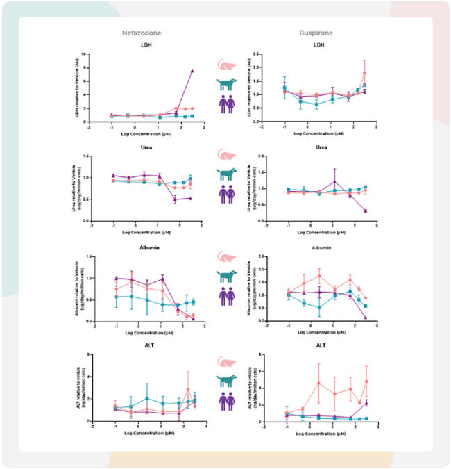 大鼠MPS通过白蛋白水平下降预测奈法唑酮的肝毒性风险