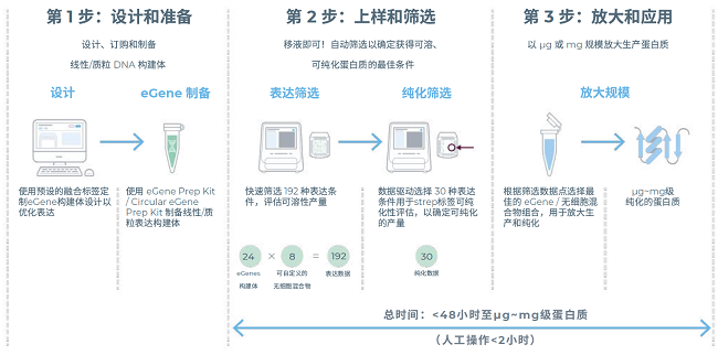 可溶性蛋白工作流程