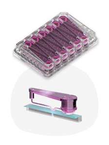 LC12&48肝脏微流控芯片板