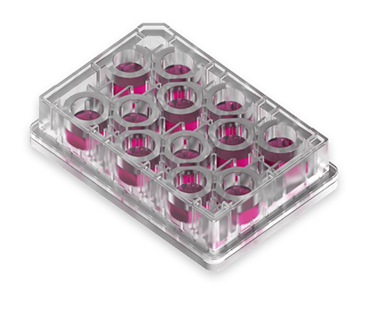 T12屏障微流控芯片板