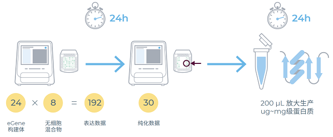 eProtein Discovery工作流程