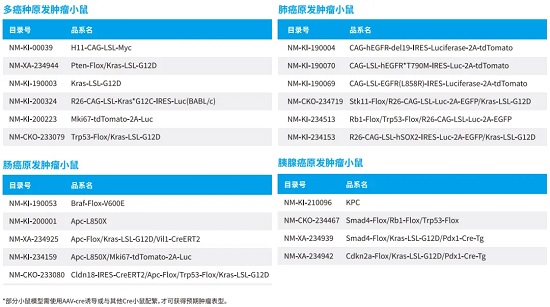南模生物模型列表总览图