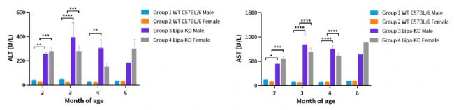 不同月龄Lipa-KO小鼠血清中丙氨酸氨基转移酶和谷草转氨酶-南模生物