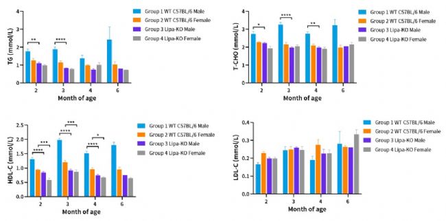 不同月龄Lipa-KO小鼠血脂分析。 (2~4month: n=3~6; 6month: n=1~3)-南模生物