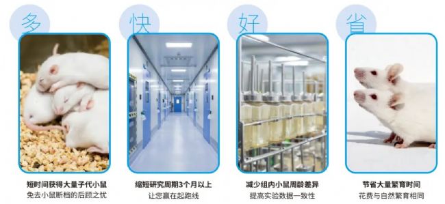 南模生物饲养繁育冻存保种附属生物净化鉴定服务-南模生物