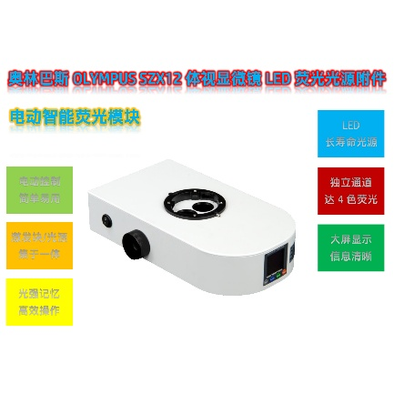 奥林巴斯SZX12体视显微镜结合LED体视荧光模块在秀丽线虫研究中的解决方案