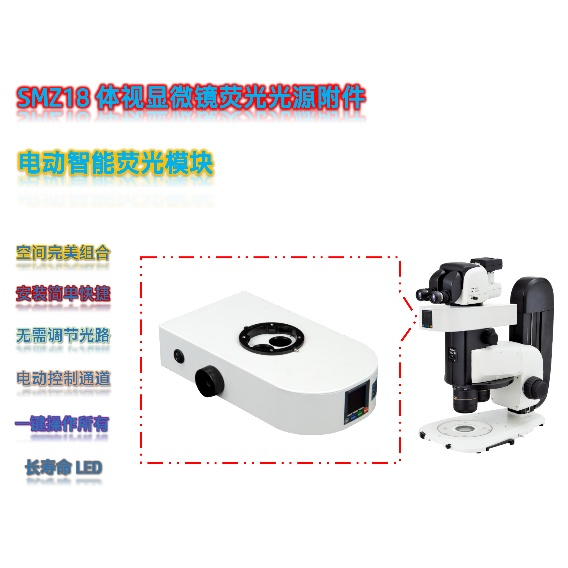 尼康SMZ18体视显微镜结合LED荧光模块在秀丽线虫研究中的应用解决方案
