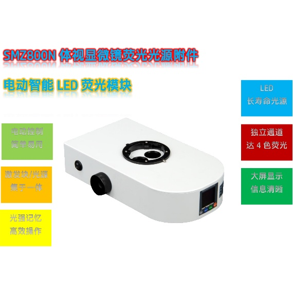 02 尼康 SMZ800N 体视显微镜升级LED荧光模块在秀丽线虫研究中的解决方案