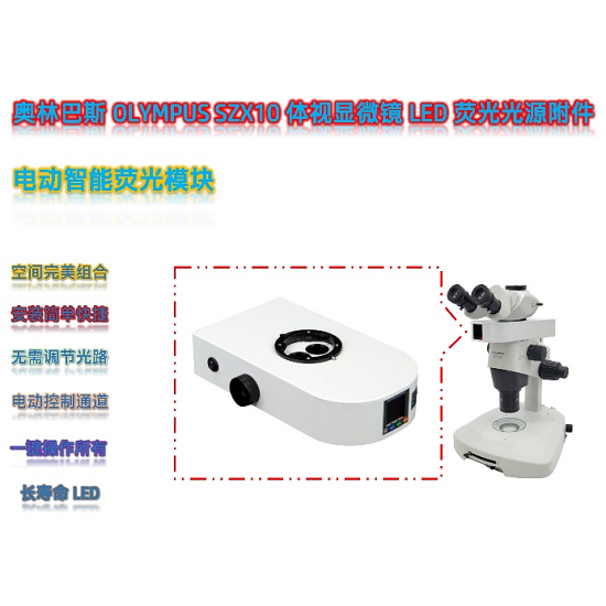 奥林巴斯SZX10体视显微镜搭配LED体视荧光模块秀丽线虫荧光观测解决方案