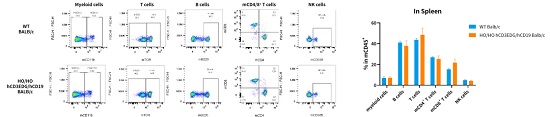 野生型BALB/c和hCD3EDG/hCD19(BALB/c)小鼠的免疫细胞分型-南模生物