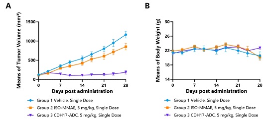 靶向 CDH17 的 ADC 药物抑制人结肠癌肿瘤细胞系 COLO 205-南模生物