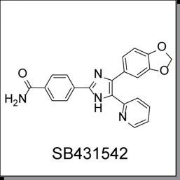 图1.SB431542 结构示意图