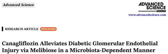 Canagliflozin Alleviates Diabetic Glomerular Endothelial Injury via Melibiose in a Microbiota-Dependent Manner