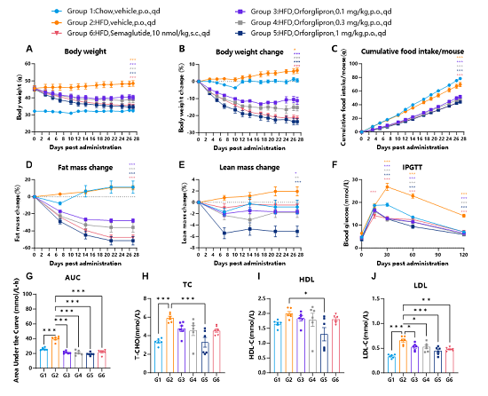 The efficacy of orforglipron in hGLP1R mice. The hGLP1R mice were fed CD or HFD. Administer saline or oroglipron orally once daily until euthanasia. Semaglutide was administered subcutaneously once daily until euthanasia.