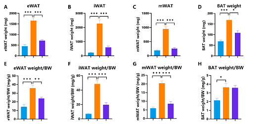 Adipose tissue weight of HFD-induced hGCGR/hGLP1R obese mice treated with Cotadutide