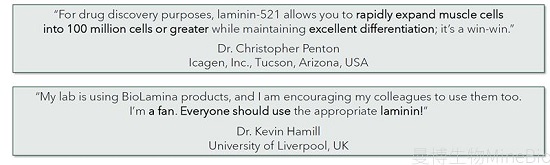 Biolaminin 521全长层粘连蛋白客户成功案例