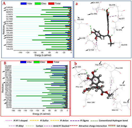Molecules 27 04039 g006