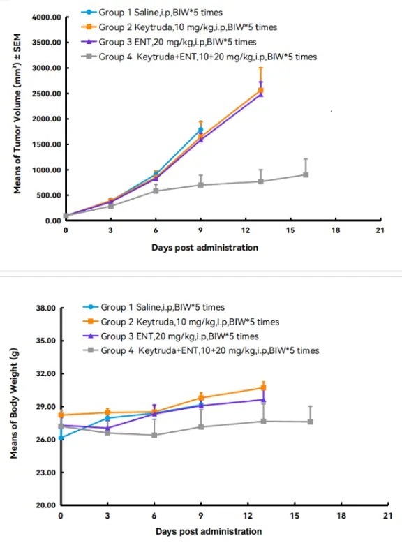 In vivo validation of homozygous BALB/c-hPD1 mice-南模生物
