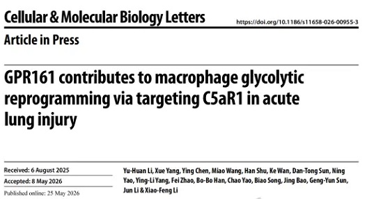 GPR161 contributes to macrophage glycolytic reprogramming via targeting C5aR1 in acute lung injury