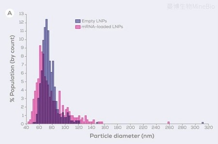 空载和载药LNP粒径分布测量结果