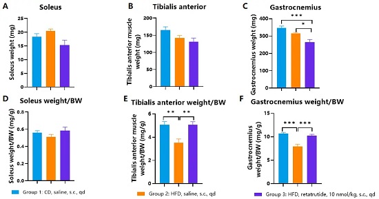 Muscle weights of HFD-induced hGLP1R/hGIPR/hGCGR obese mice treated with retatrutide