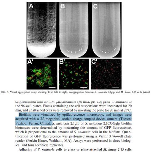 American Scientists Published Research in AEM Using CCD Made in China
