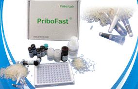 PriboFast&reg;ù������ø�����߼���Լ���