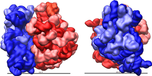 ΢����16S rRNA����