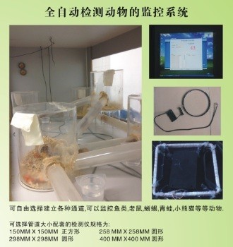 洪腾 动物行为监测系统