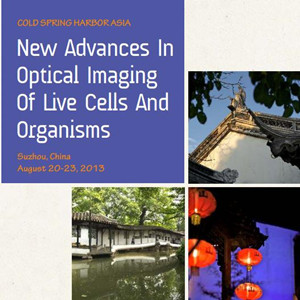 New Advances in Optical Imaging of Live Cells and Organisms  