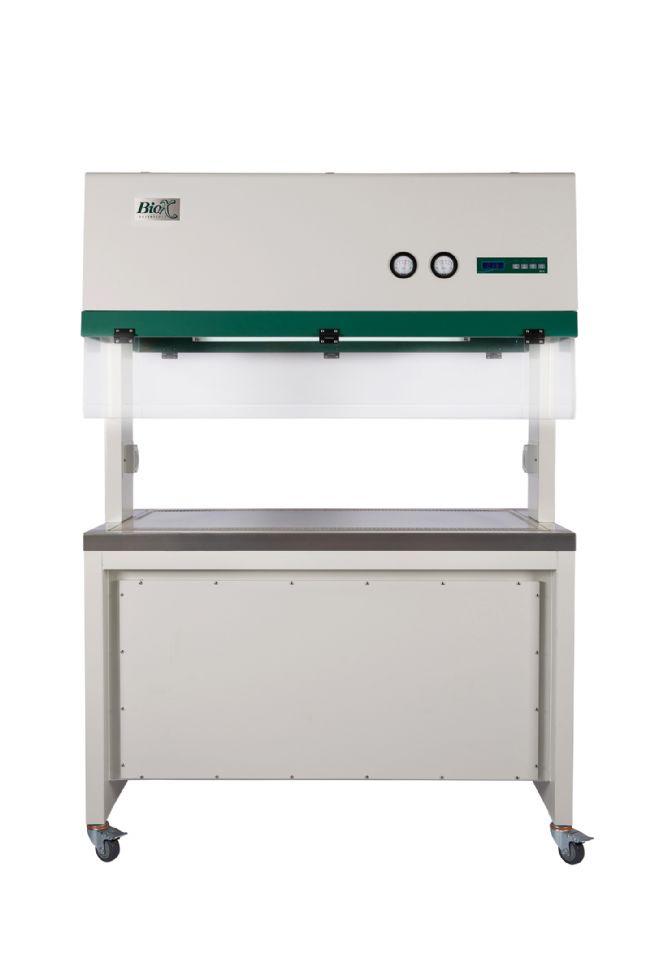 PG8A2736 小