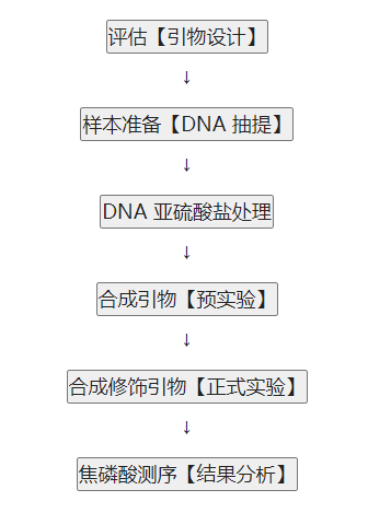 焦磷酸测序实验流程