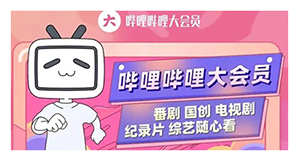 B站会员季卡