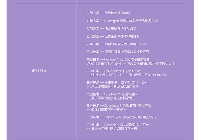 关键攻略资料