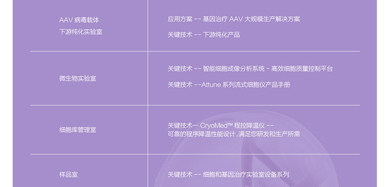 关键攻略资料