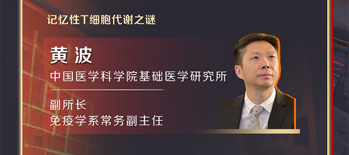 记忆性T细胞代谢之谜