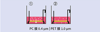 TEER检测
