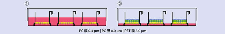 培养皿的气升式培养
