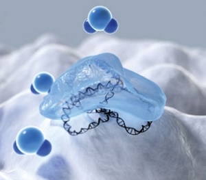 Eppendorf LoBind 低DNA 和 低蛋白吸附离心管