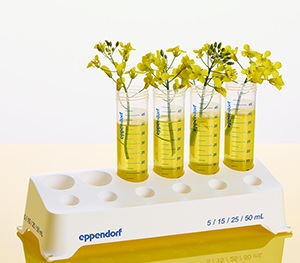 Eppendorf Tubes® Biobased 生物基离心管